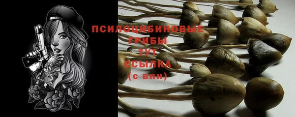 ГАЛЛЮЦИНОГЕННЫЕ ГРИБЫ Нязепетровск