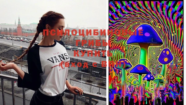 ГАЛЛЮЦИНОГЕННЫЕ ГРИБЫ Нязепетровск