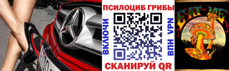 Купить где  Березники  Псилоцибиновые грибы мухоморы 